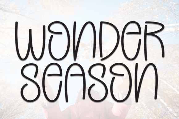 Choosing Wonder Season Font for a Cohesive Web Design